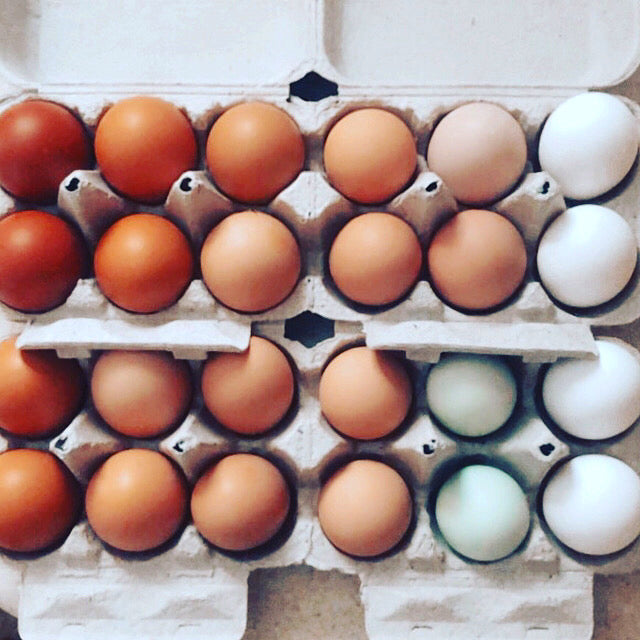 Farm Fresh Eggs (Dozen)